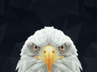eagle bet eagle bet, Темирлан Камалов