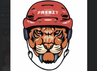 Телеграмм Hockey Frenzy