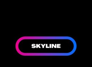 Skyline бот