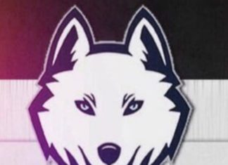 Каппер INSANE BETS