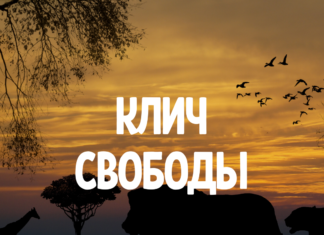 Каппер Клич Свободы